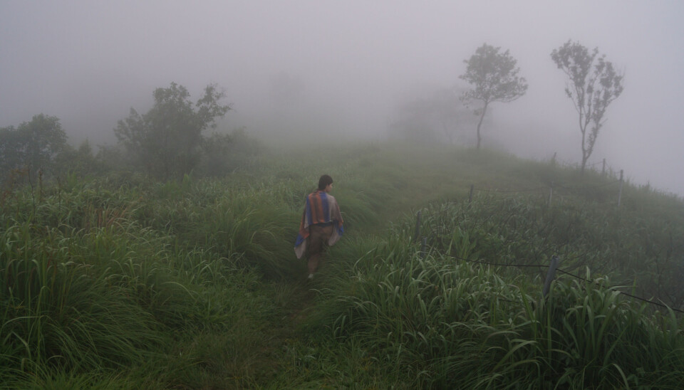 GUDS VEI: Gud viser at Hans vei er den beste, selv om Herren må føre oss inn på kronglete stier i blant, for Herren går selv med, skriver Håkon C. Hartvedt.