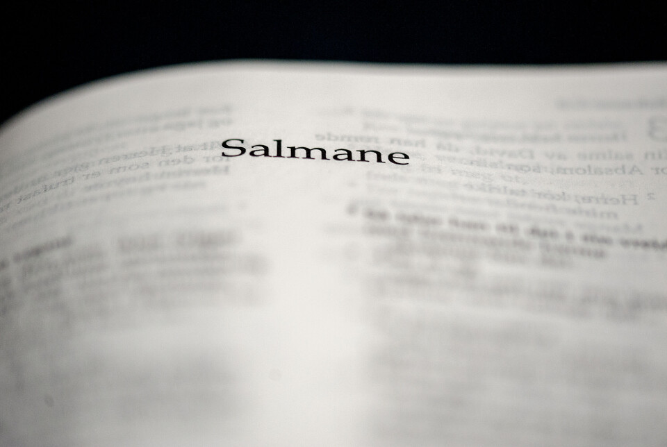 SJELESØRGERISK: Salmenes bok er en bønnebok full av klage og takk, tillit og tro, jubel og fortvilelse, lengsel og skuffelse, skriver Egil Sjaastad.