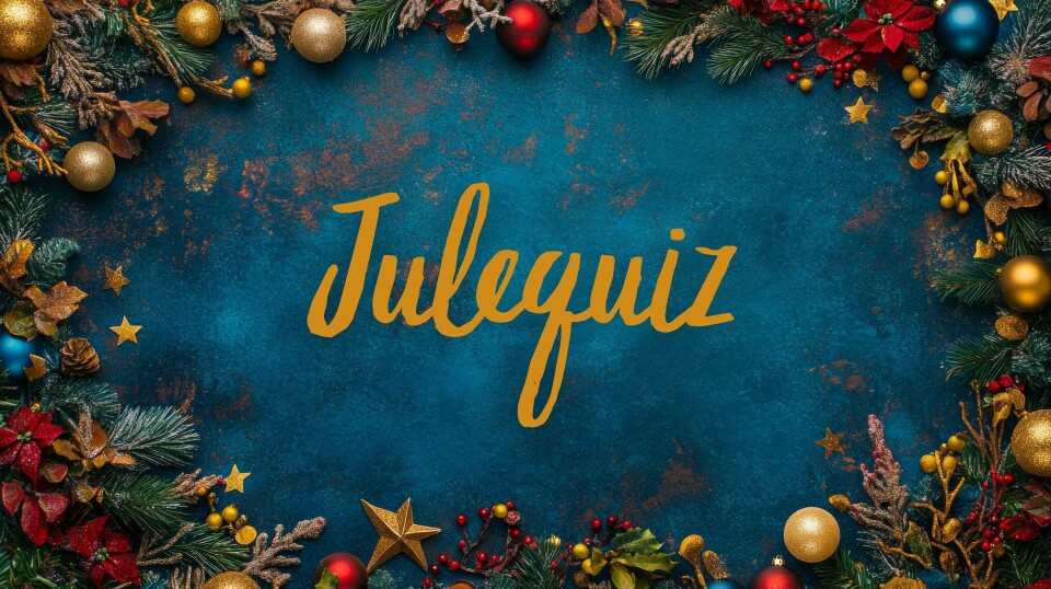 Dagens julequiz 2024