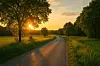 Sunset glow illuminating a rural pathway guiding me back home