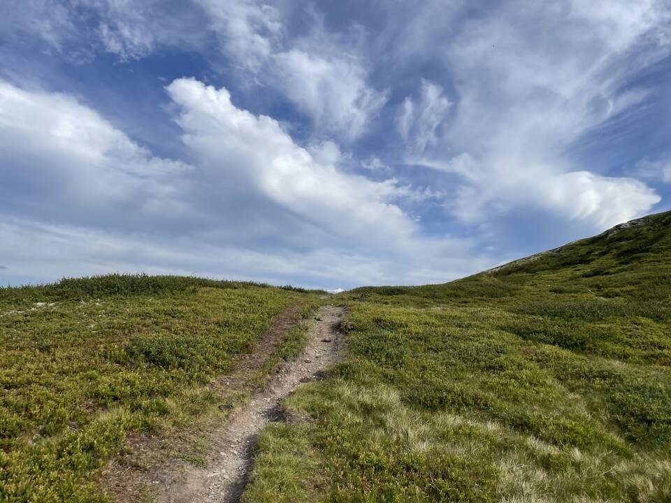 STI: Har du gått den samme stien om og om igjen, så vet du noe om hvor det er godt å gå. Guds virkelighet er som et håndfast landskap, skriver Sverre H. Skilbreid.