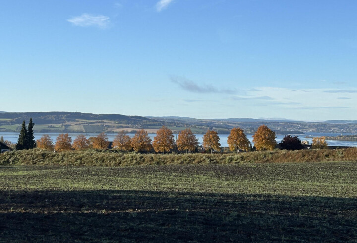 Moden høst der vi er