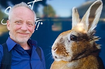 Professor: – Dyra tek imot Jesus.  Dei fornektar han ikkje