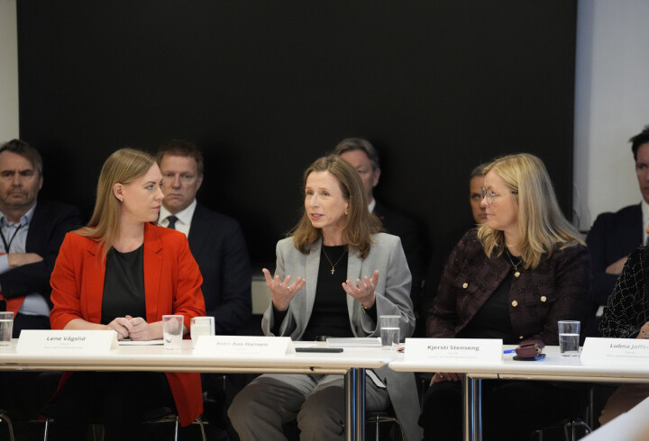 Den kriminelle utviklingen er en stor fare for vårt eget samfunn