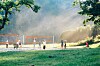 Personer spiller sandvolleyball på utendørs baner i et grønt parkområde.