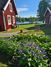 Rød trebygning, blomsterbed og grønn hage med innsjø i bakgrunnen.