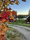 Høstblader i forgrunnen, røde hus, grusvei og vann i et fredelig landskap.