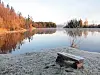 Frostkledd bredde med benk ved stille innsjø og skog i bakgrunnen.