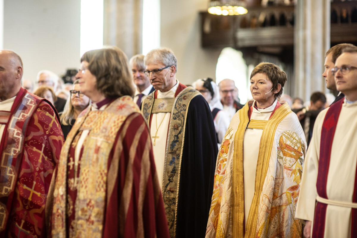 Mening sevgilimning mushuki